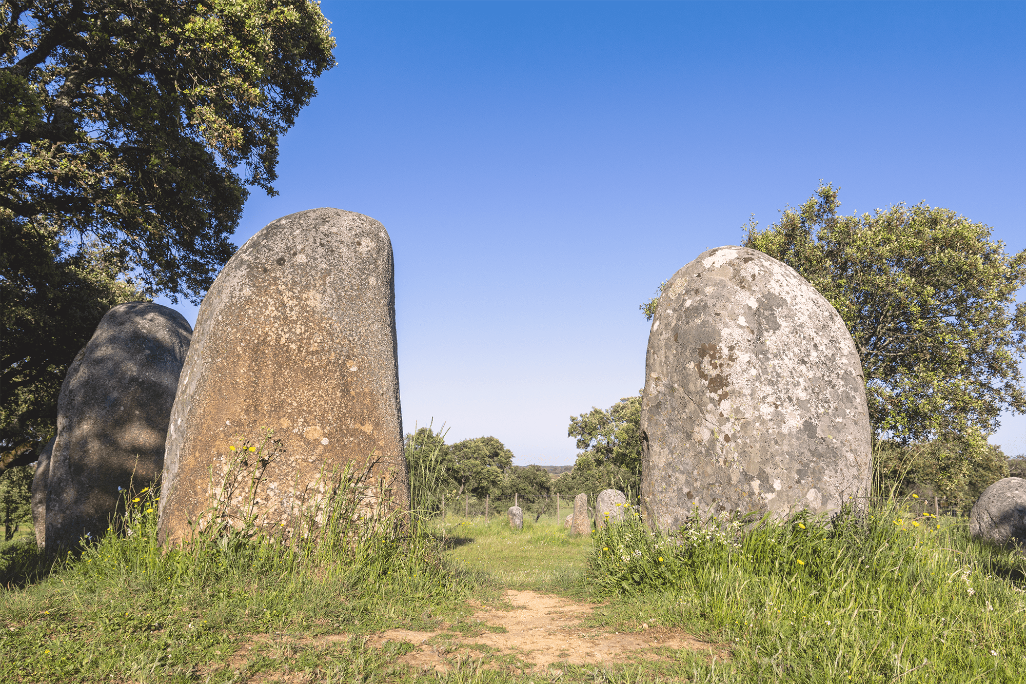 Alentejo region, southern Portugal